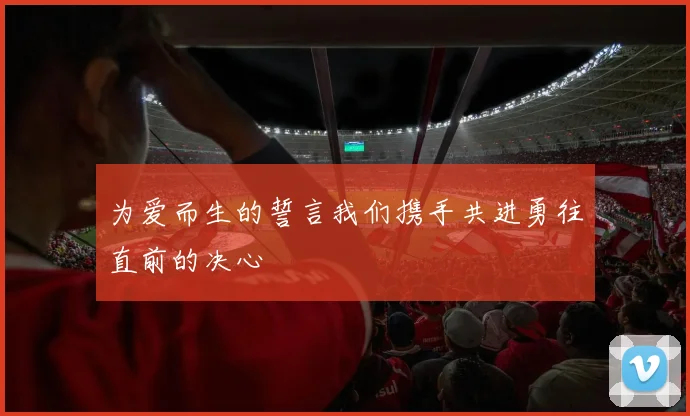 为爱而生的誓言我们携手共进勇往直前的决心